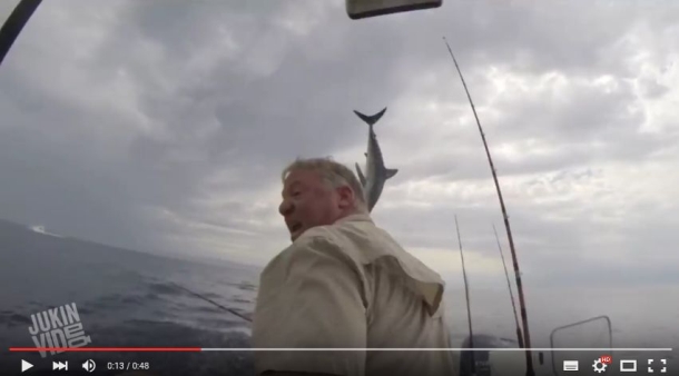 Leaping mako shark captured on film